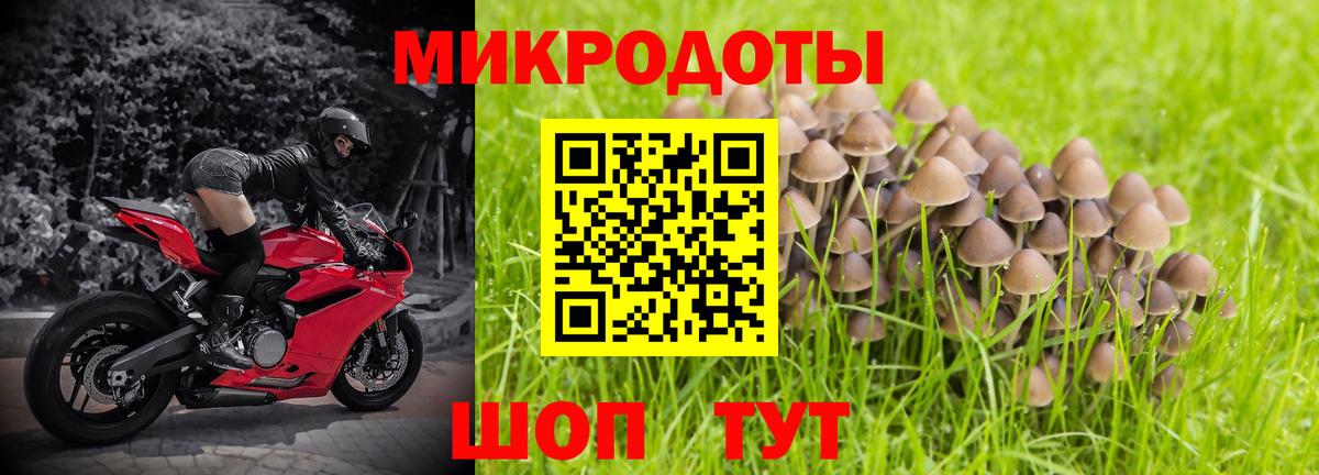 Галлюциногенные грибы мицелий Светлоград