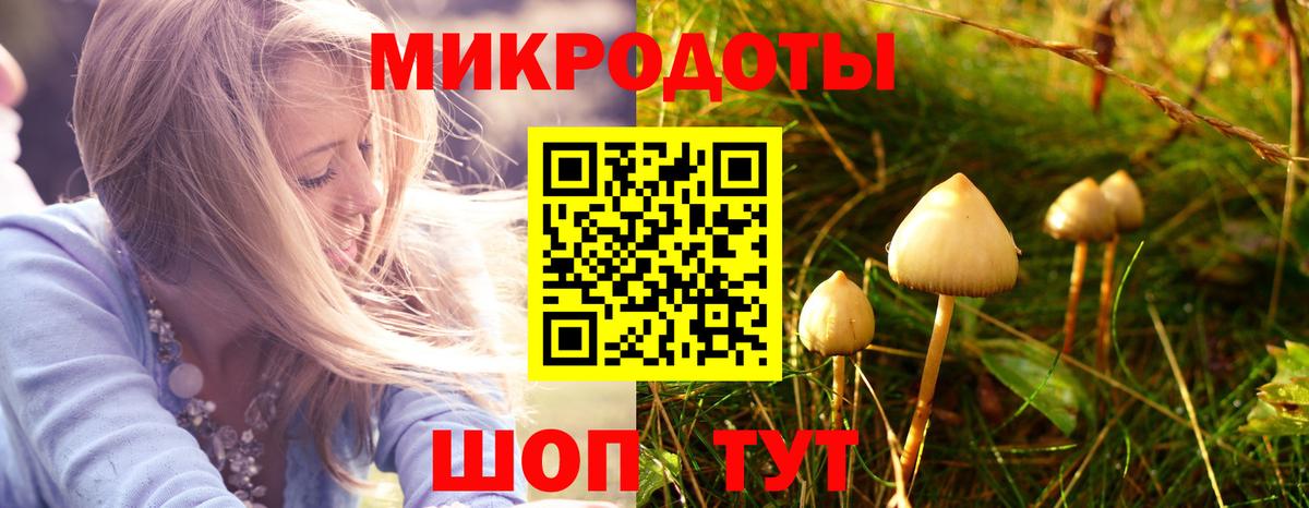 Светлоград  Галлюциногенные грибы Magic Shrooms  Вход с VPN 